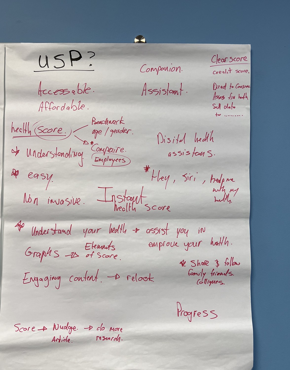 A workshop flip-chart headed "USP?" with handwritten notes about accessibility, an instant health score and sharing with family.